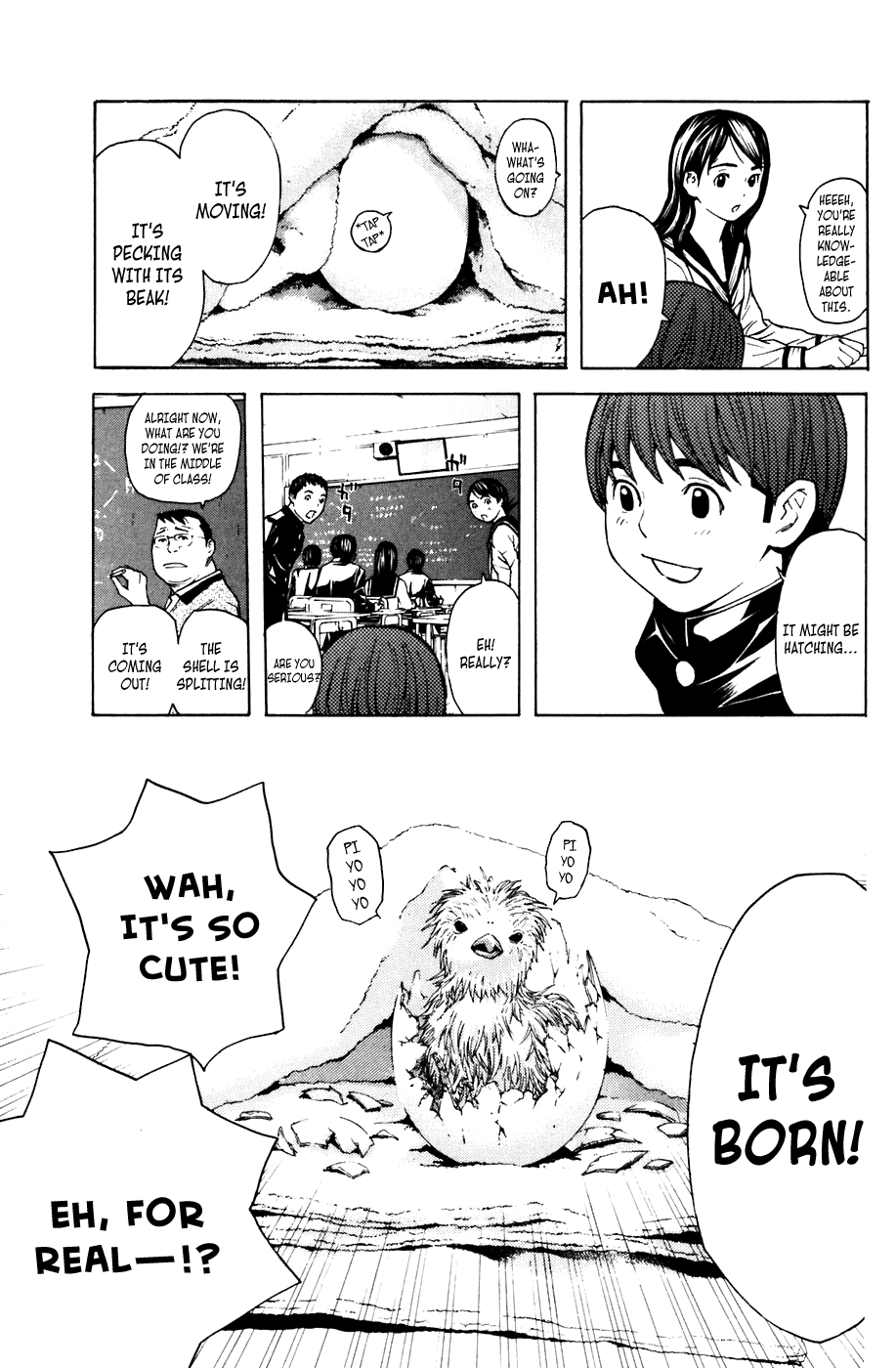 Shibatora Chapter 48.2 page 3 - Chapter 48 v2 : File 48 - Black Trap