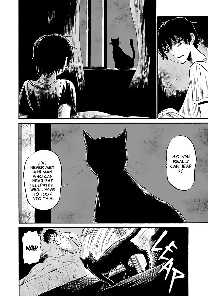 Shibito no Koe o Kiku ga Yoi Chapter 52 page 18 - Chapter 52: Night of the Cats