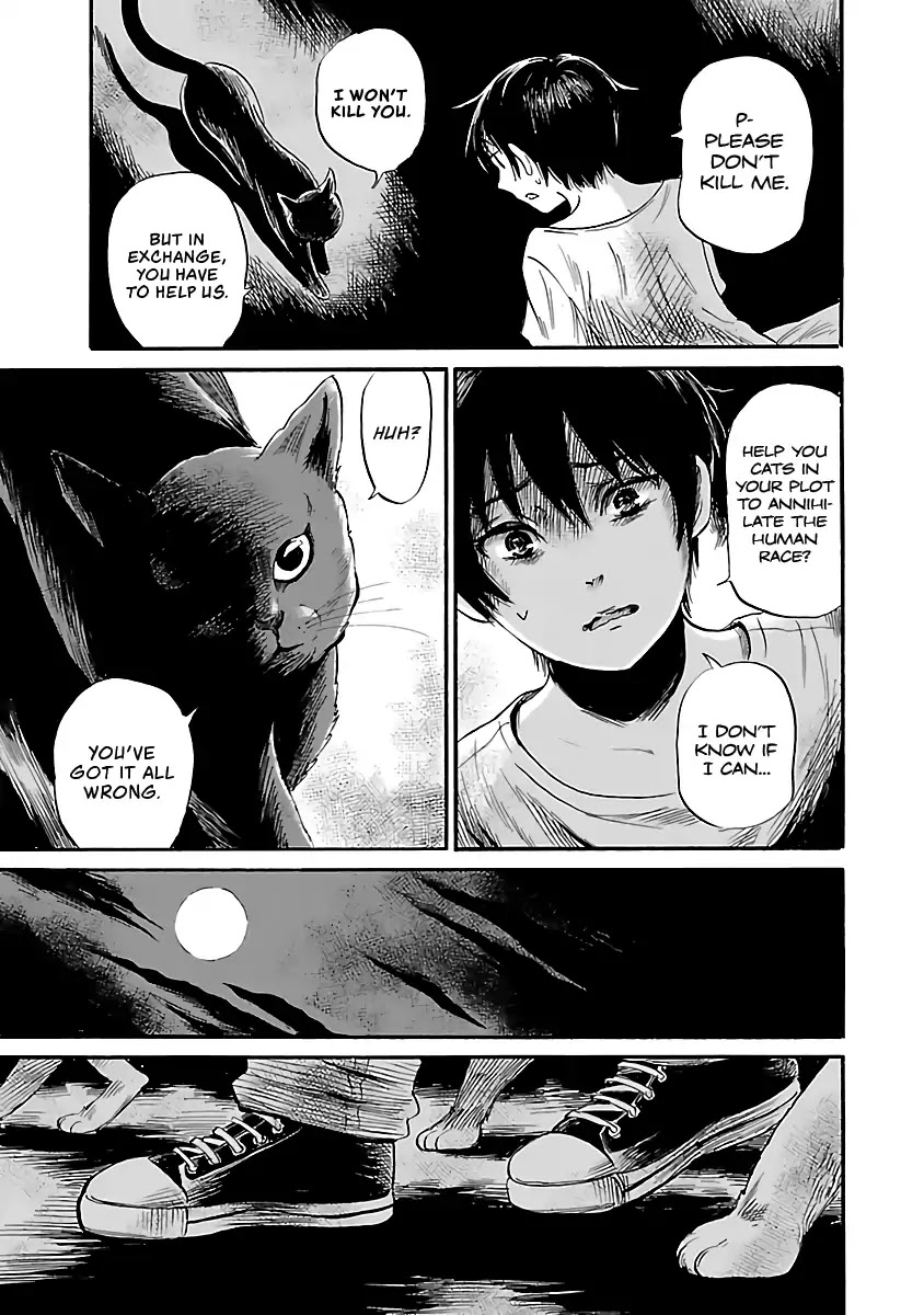 Shibito no Koe o Kiku ga Yoi Chapter 52 page 19 - Chapter 52: Night of the Cats