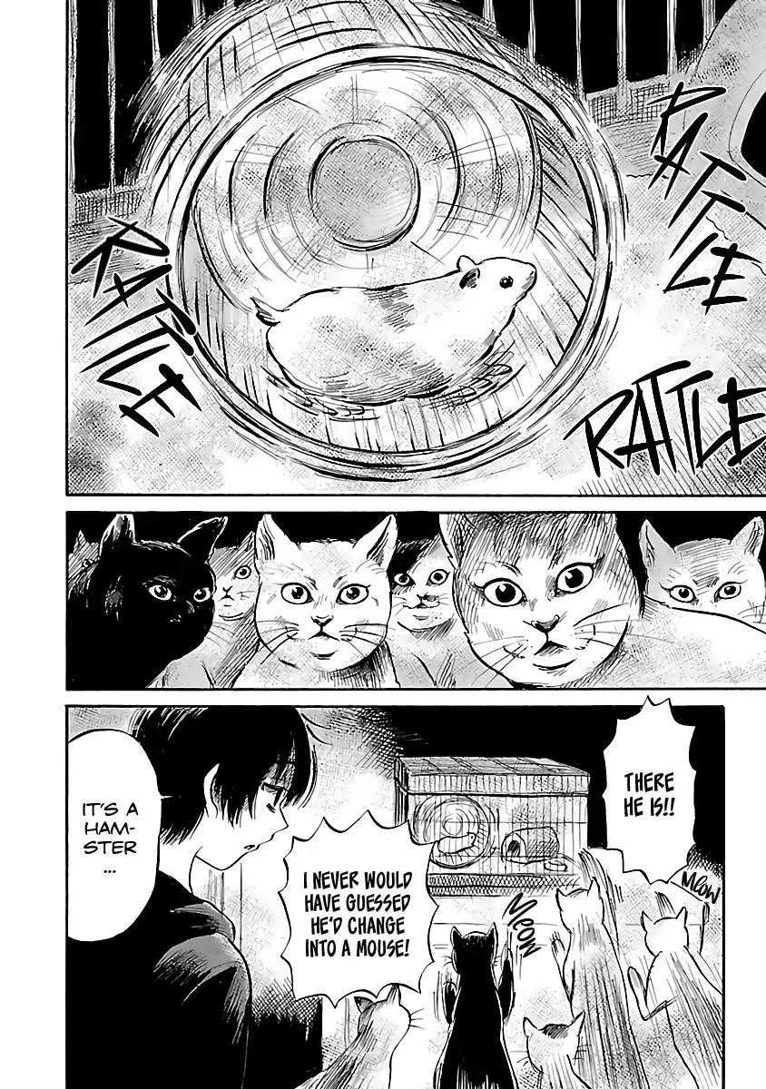 Shibito no Koe o Kiku ga Yoi Chapter 52 page 28 - Chapter 52: Night of the Cats