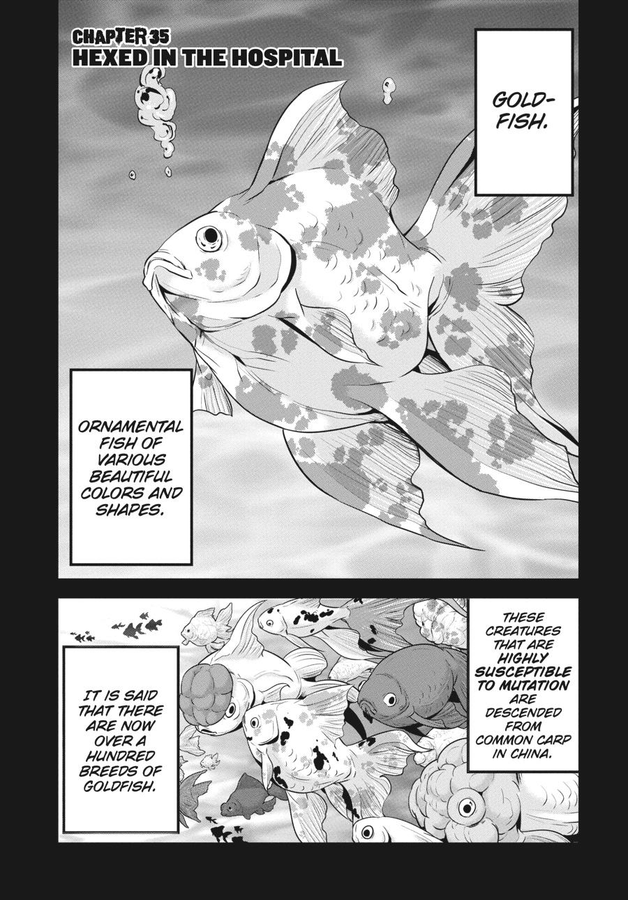 Shibuya Kingyo Chapter 35 page 1 - Chapter 35