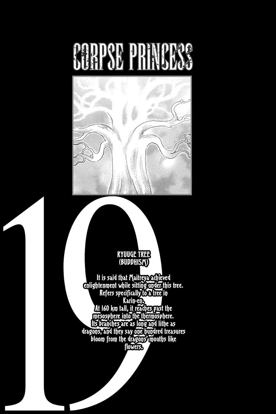 Shikabane Hime Chapter 85 page 5 - Chapter 85: Vol.19 Death 85: Parting Ways