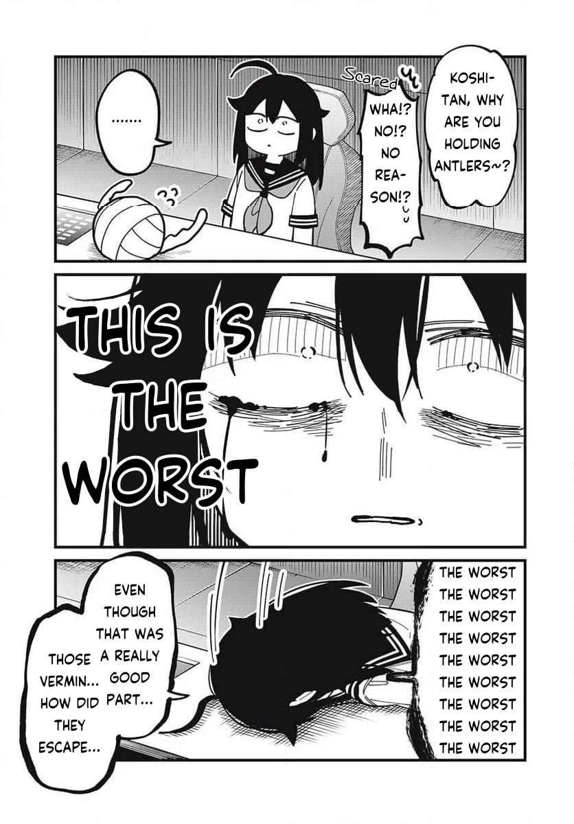 Shikanoko Nokonoko Koshitantan Chapter 43 page 19 - Chapter 43: Sincerely, to the Deers