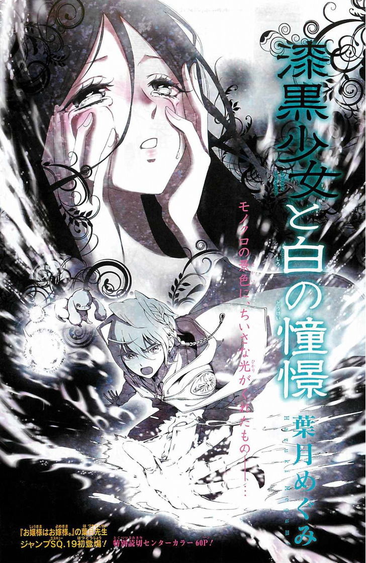 Shikkoku Shoujo to Shiro no Doukei Chapter 0 page 2 - Chapter 0 : Oneshot