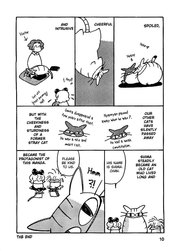 Shima Shima Everyday Chapter 1 page 4 - Chapter 1