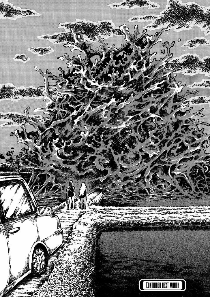 Shin Chimoguri Ringo to Kingyobachi Otoko Chapter 7.1-3 page 19 - Chapter 7.1 : v3
