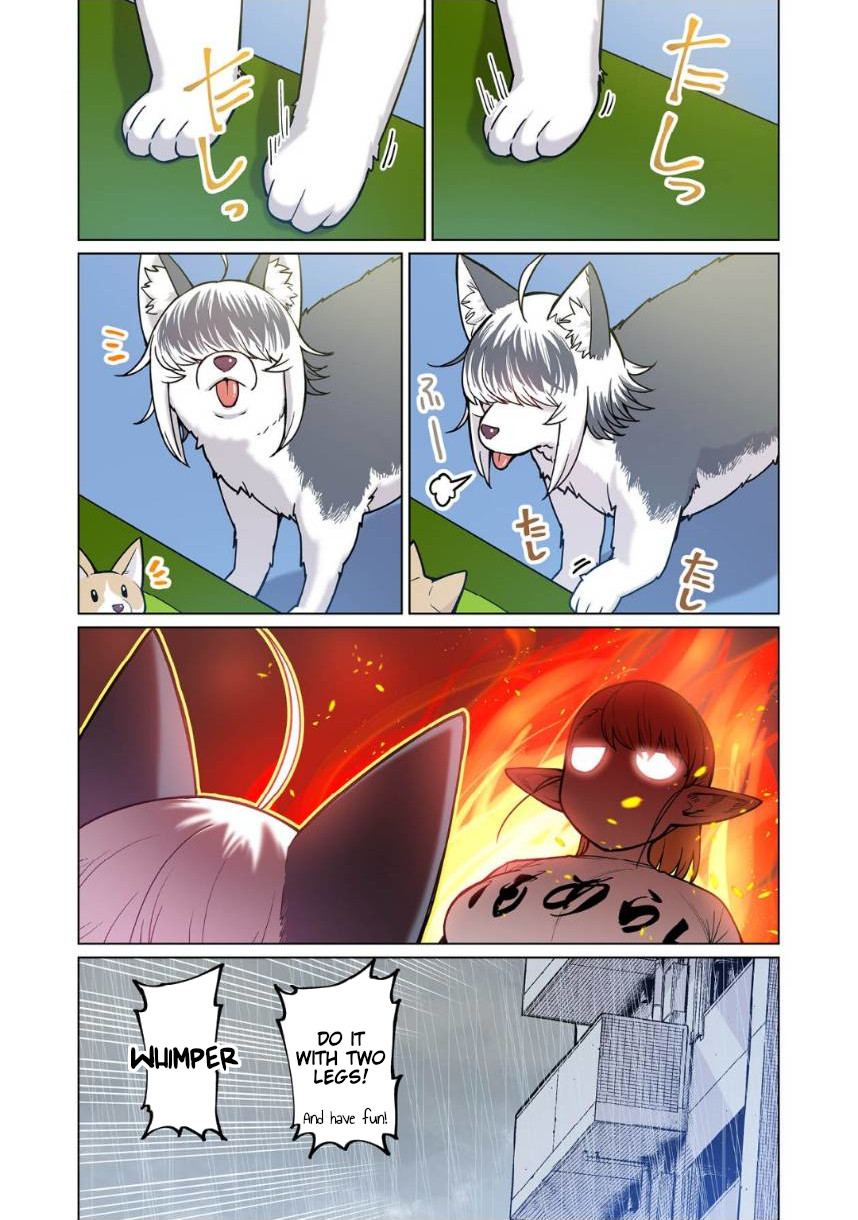 Shin Elf-san wa Yaserarenai. Chapter 4 page 19 - Chapter 4: The Dog at the Door