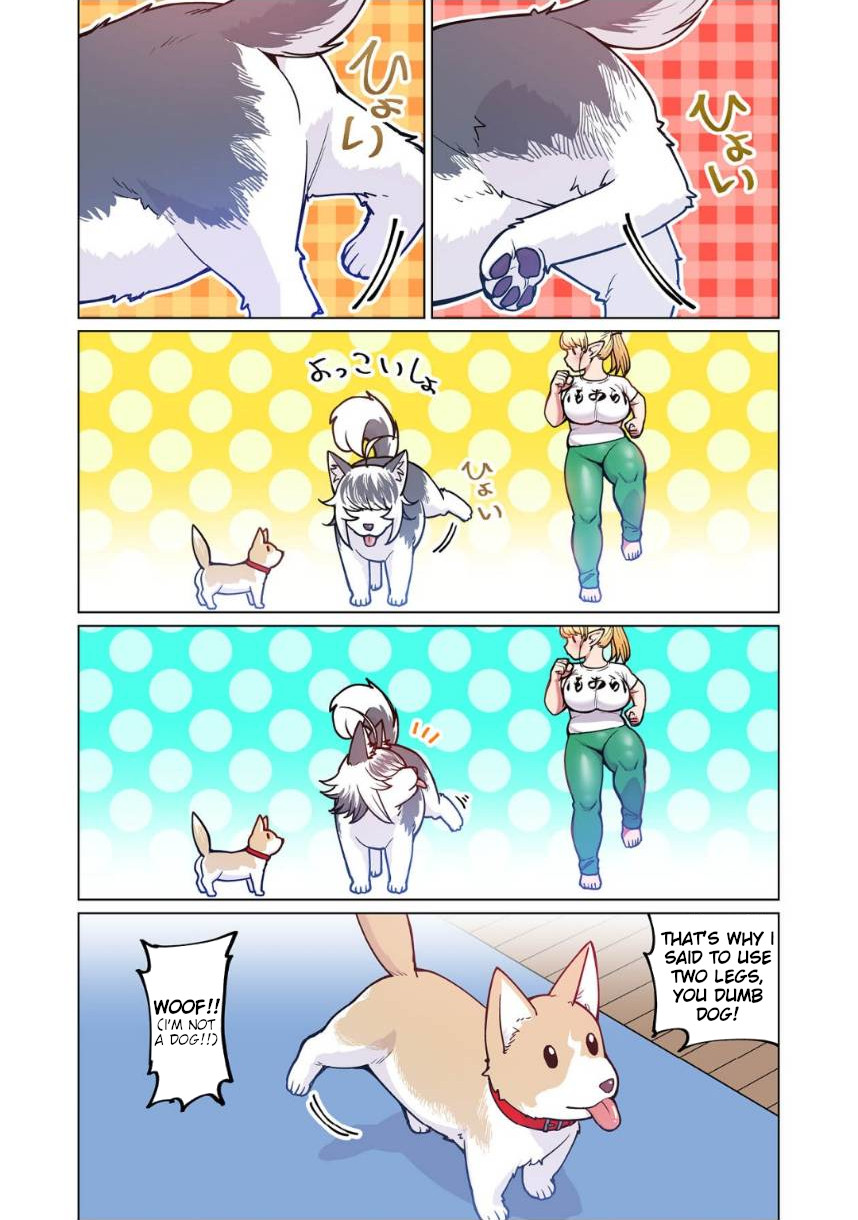 Shin Elf-san wa Yaserarenai. Chapter 4 page 23 - Chapter 4: The Dog at the Door