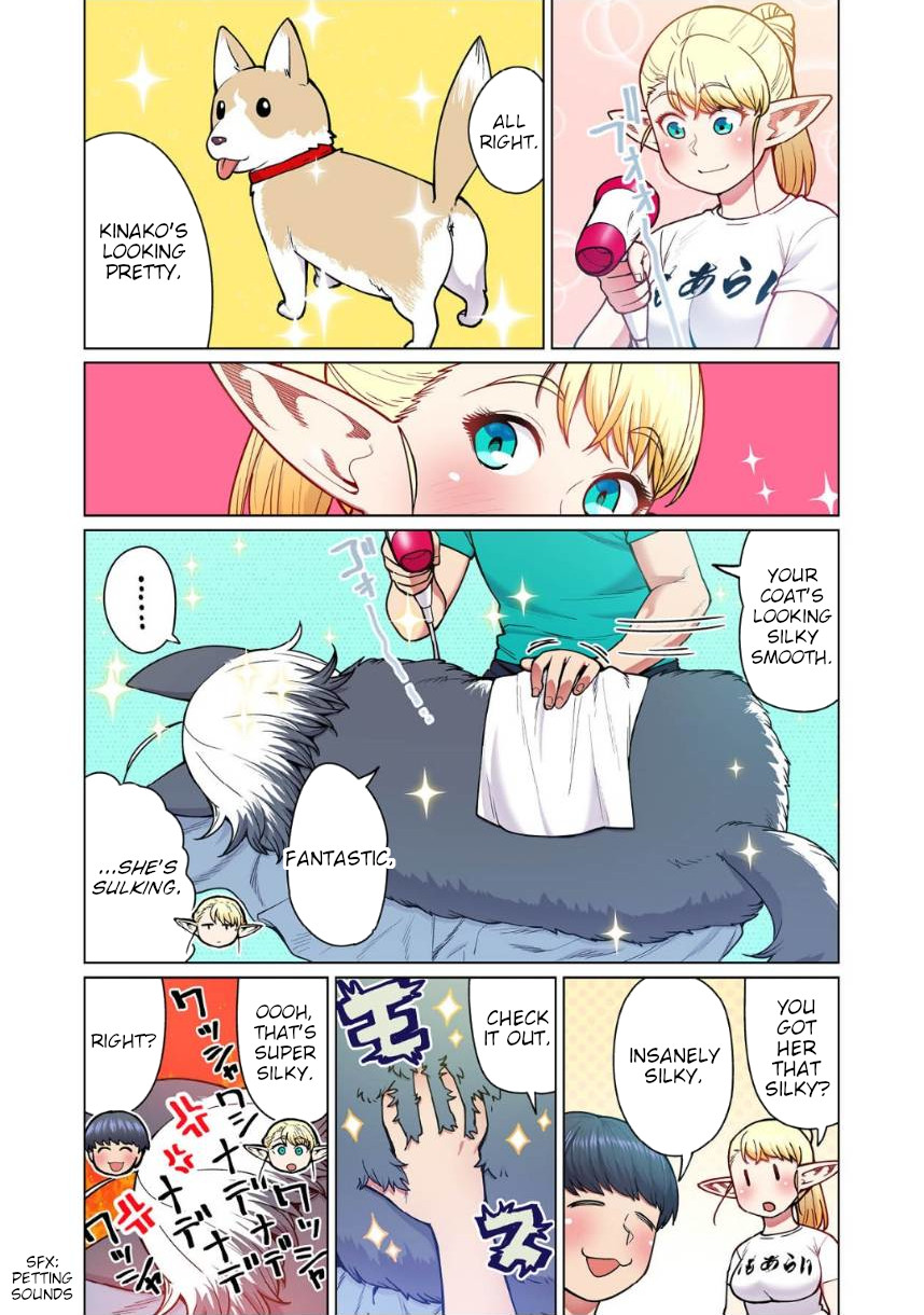 Shin Elf-san wa Yaserarenai. Chapter 4 page 8 - Chapter 4: The Dog at the Door