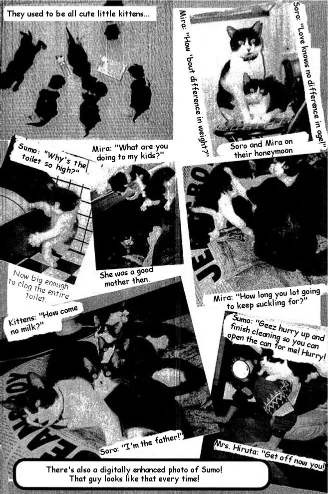 Shin Kotaro Makaritoru! Juudouhen Chapter 17 page 20 - Chapter 17: Granny's a "Red" Belt Judoka!