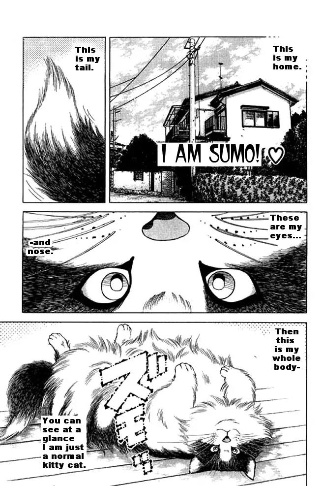 Shin Kotaro Makaritoru! Juudouhen Chapter 24 page 1 - Chapter 24: I am Sumo!
