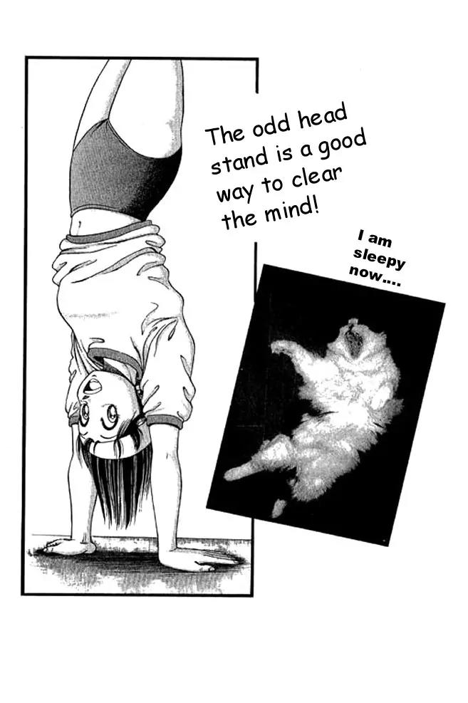 Shin Kotaro Makaritoru! Juudouhen Chapter 34 page 20 - Chapter 34: Miaosanro Hiruta's Case File ( SPECIAL )