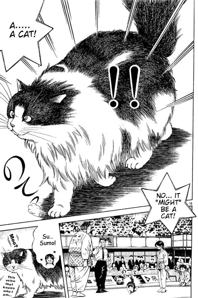 Shin Kotaro Makaritoru! Juudouhen Chapter 42 page 10 - Chapter 42: Sumo's Weakness