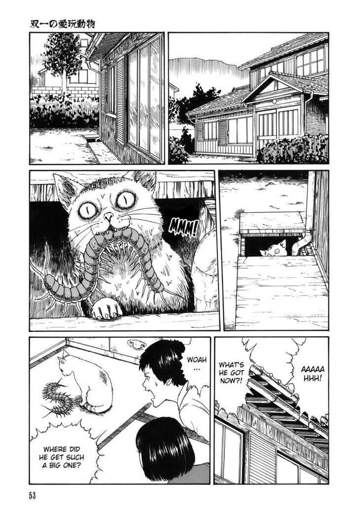 Shin Yami no Koe - Kaidan Chapter 1.2 page 17 - Chapter 1.2 : Soichi's Beloved Pet