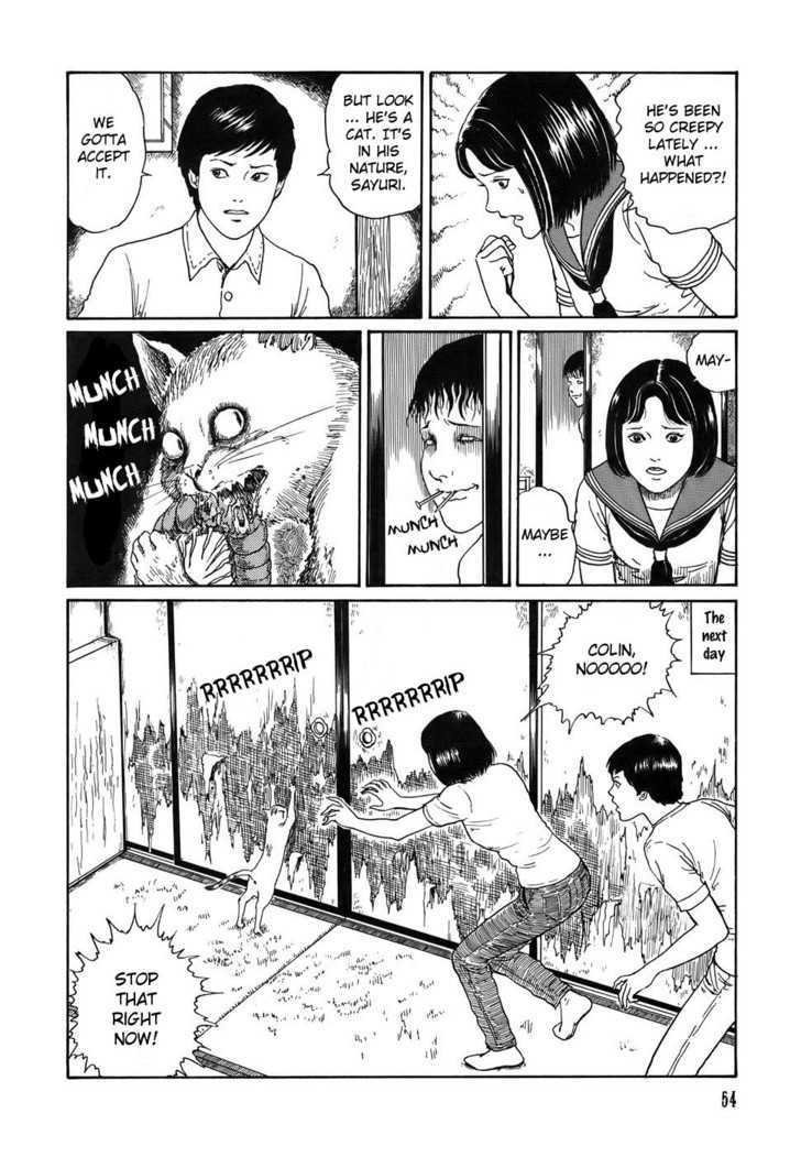 Shin Yami no Koe - Kaidan Chapter 1.2 page 18 - Chapter 1.2 : Soichi's Beloved Pet