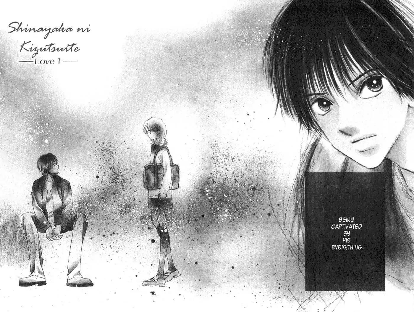 Shinayaka ni Kizutsuite Chapter 1 page 5 - Chapter 1