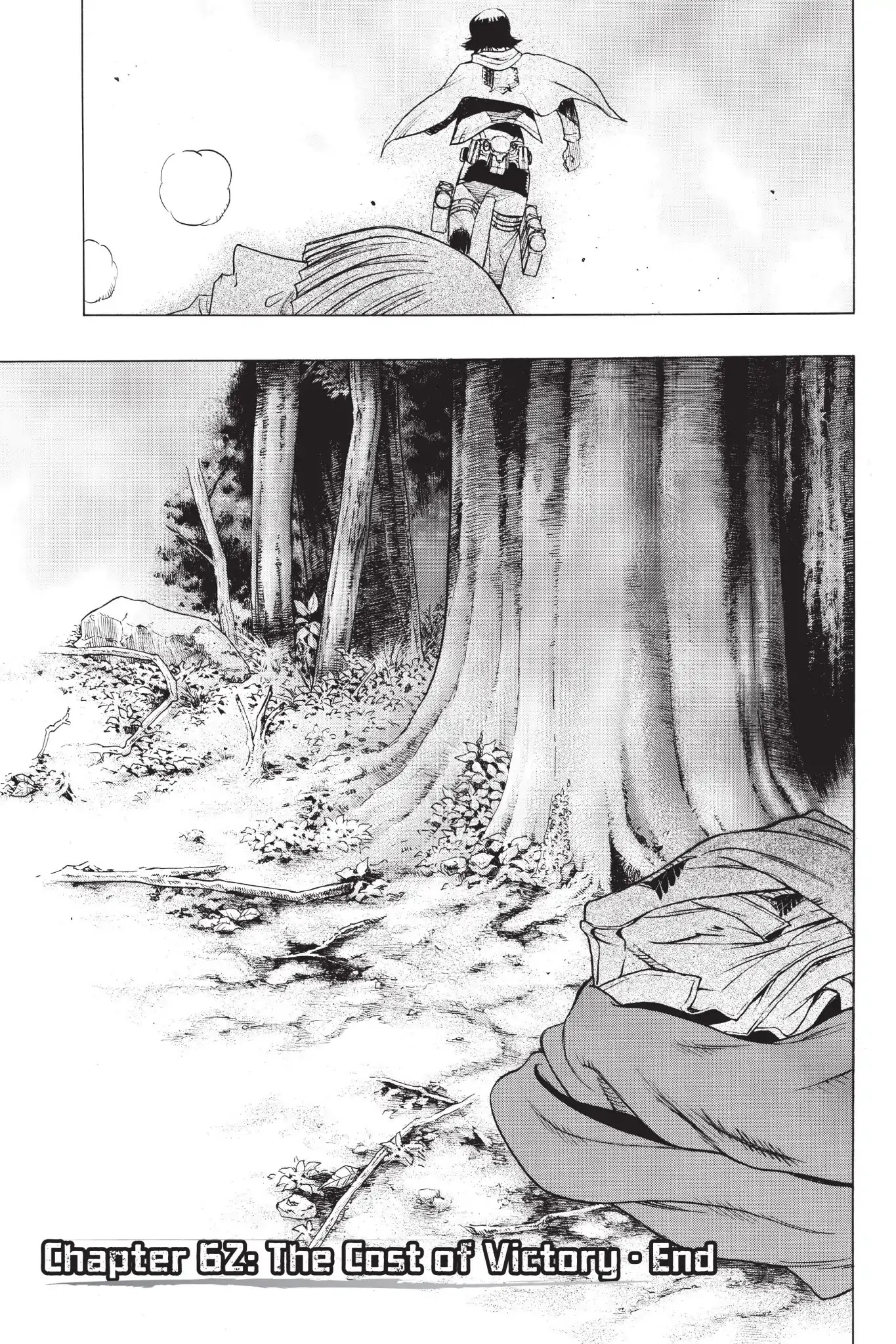 Shingeki no Kyojin - Before the Fall Chapter 62 page 42 - Chapter 62: The Cost of Victory