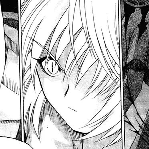 Shingetsutan Tsukihime Chapter 11 cover