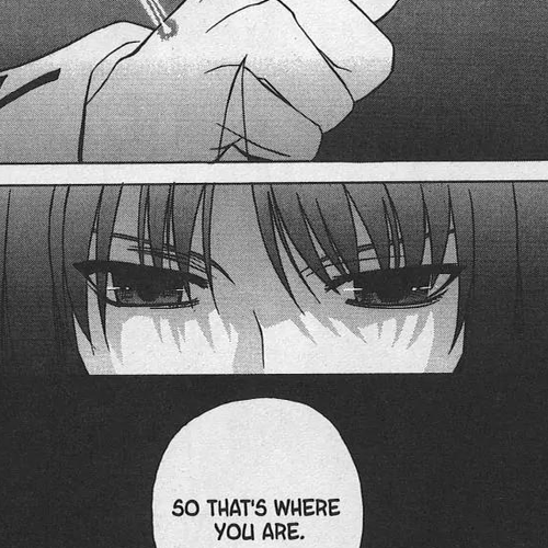Shingetsutan Tsukihime Chapter 24 cover