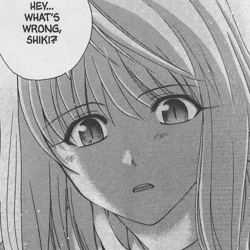 Shingetsutan Tsukihime Chapter 30 cover