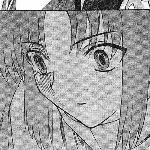 Shingetsutan Tsukihime Chapter 49 cover