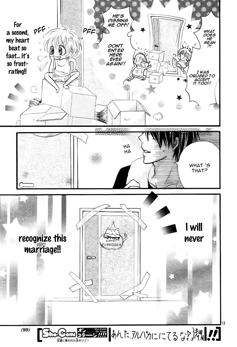 Shinkon (Kari)chuu Chapter 1 page 17 - Chapter 1
