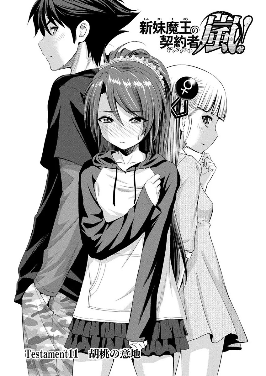 Shinmai Maou no Testament Arashi! Chapter 11 page 1 - Chapter 11: Vol.2 Testament 11: Kurumi's Stubbornness