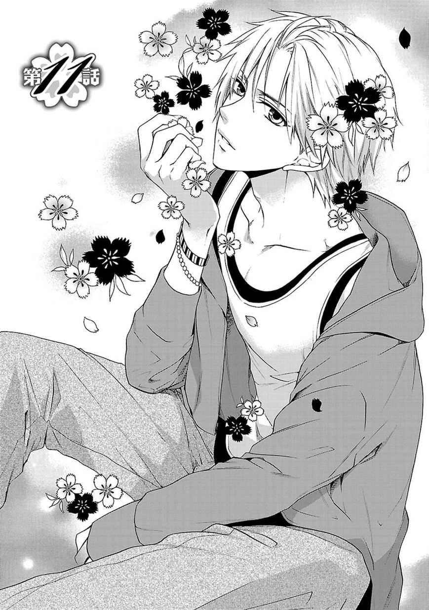 Shinobi yoru Koi wa Kusemono Chapter 11 page 1 - Chapter 11