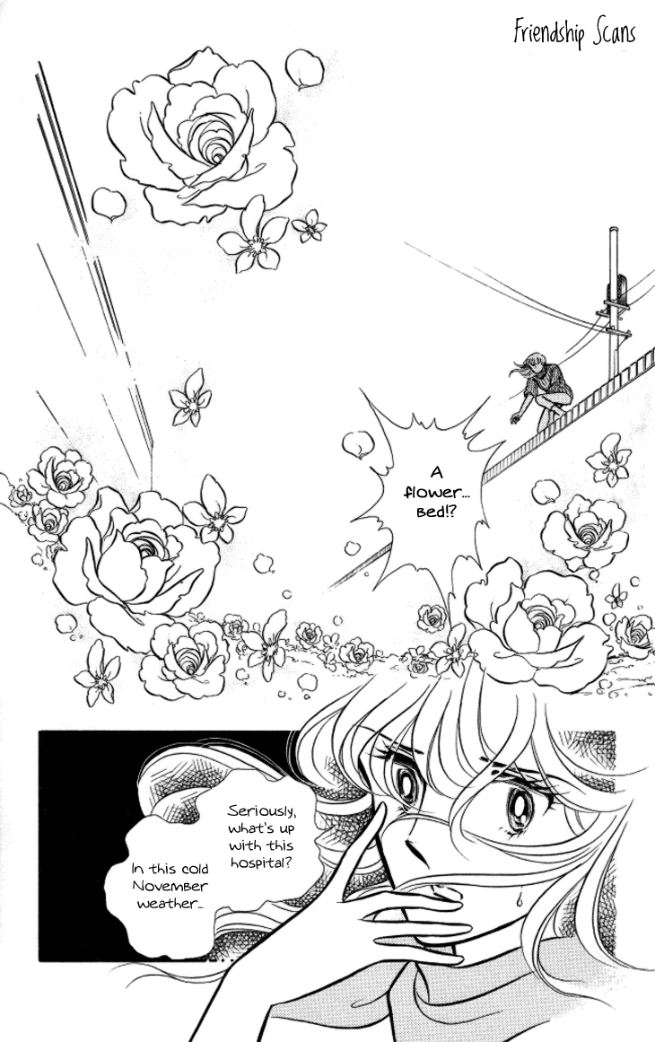Shinohara Chie the Best Selection Chapter 2.10 page 12 - Vol.2 Chapter 10 : Fuyu no Hana wa Chinkon Hana