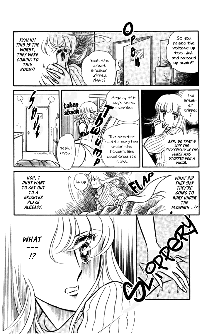 Shinohara Chie the Best Selection Chapter 2.10 page 15 - Vol.2 Chapter 10 : Fuyu no Hana wa Chinkon Hana