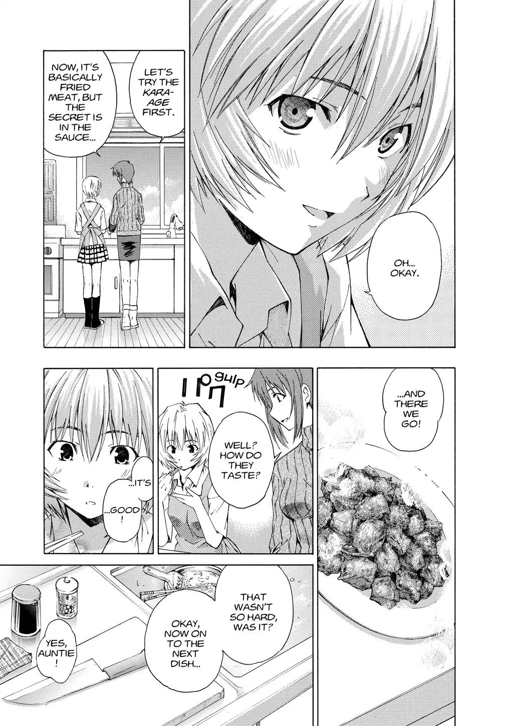 Shinseiki Evangelion: Ikari Shinji Ikusei Keikaku Chapter 28 page 17 - Chapter 28: Vol.5 Stage 28