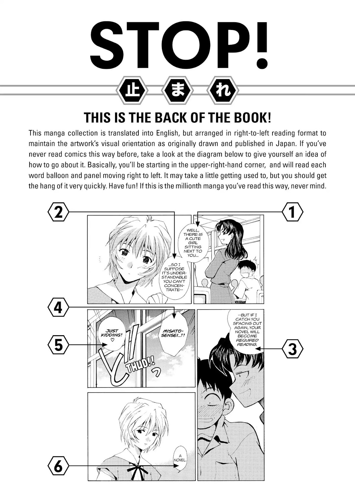 Shinseiki Evangelion: Ikari Shinji Ikusei Keikaku Chapter 66.5 page 18 - Vol.11 Extra Stage
