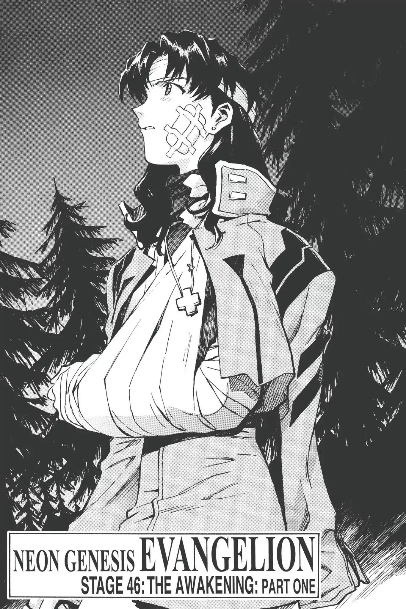 Shinseiki Evangelion Chapter 46 page 1 - Chapter 46-p1: Vol.3 Stage 46: The Awakening, Part 1