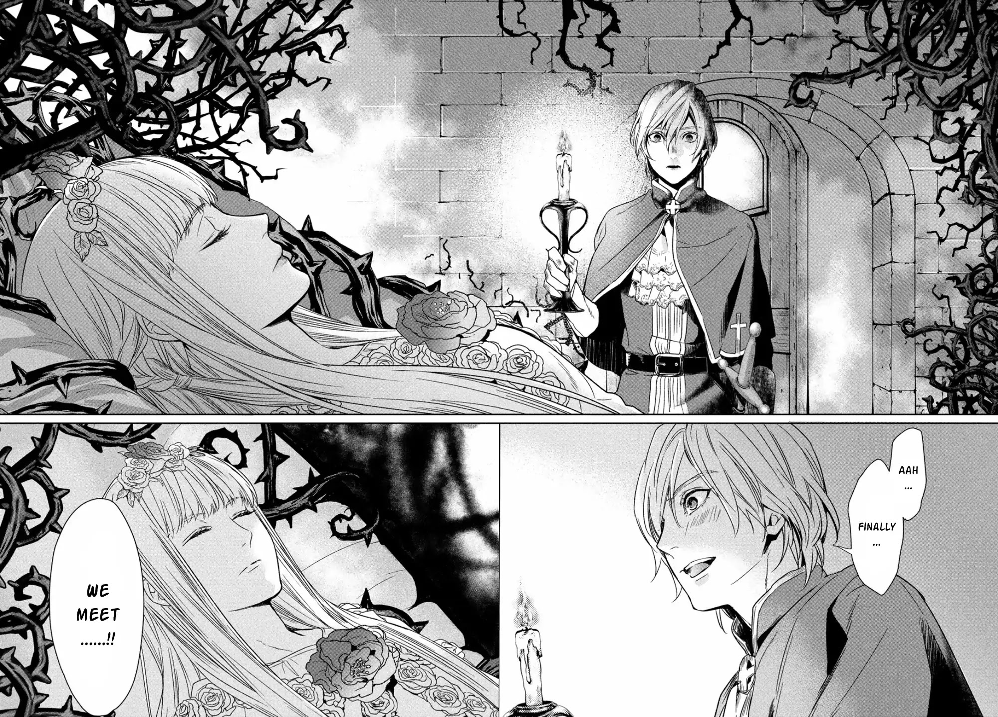 Shinyaku Marchen Chapter 22 page 14 - Chapter 22: Seite 22: The Princess Sleeping in the Tower of Roses 3