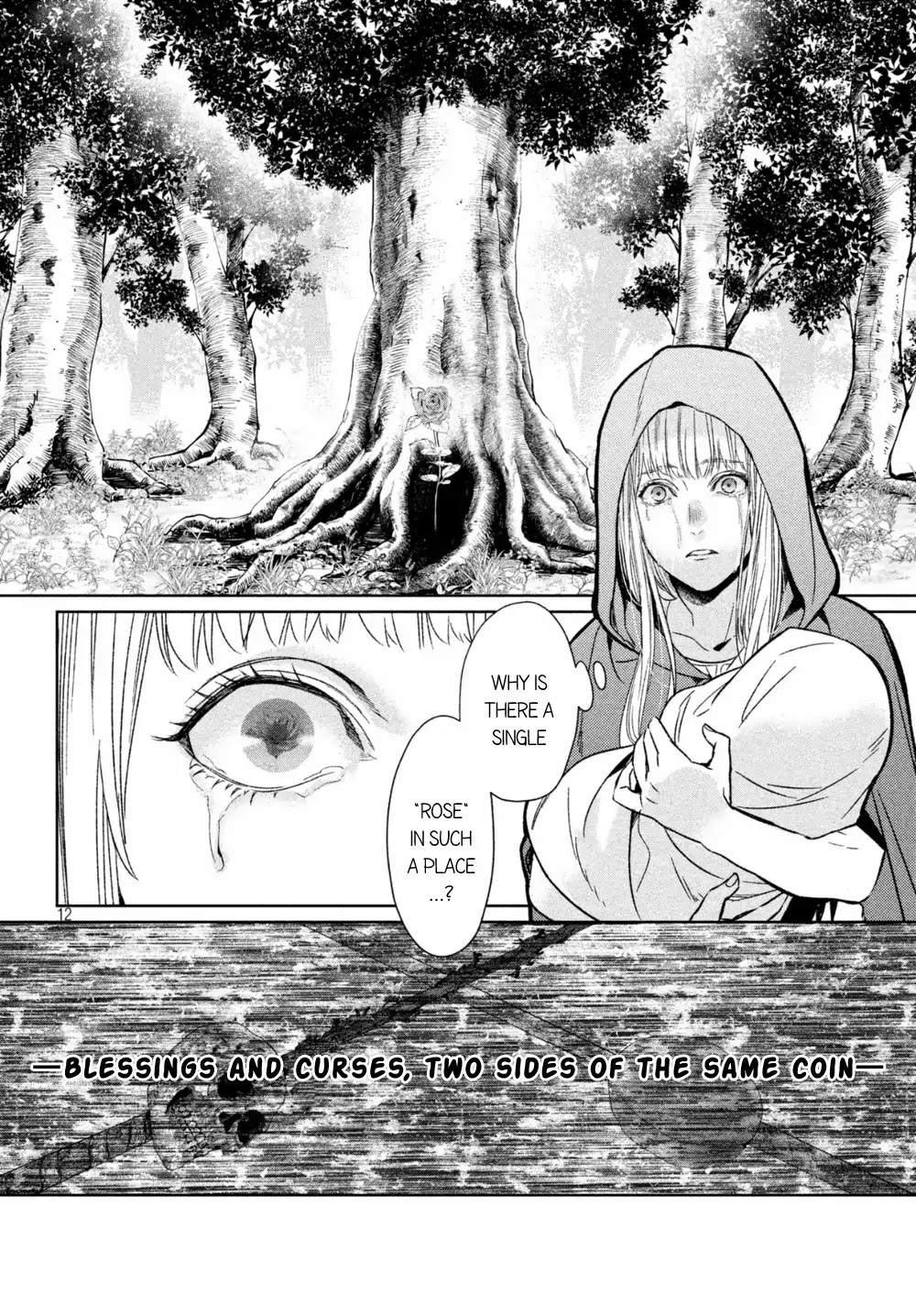 Shinyaku Marchen Chapter 24 page 13 - Chapter 24: Seite 24: The Princess Sleeping in the Tower of Roses 5