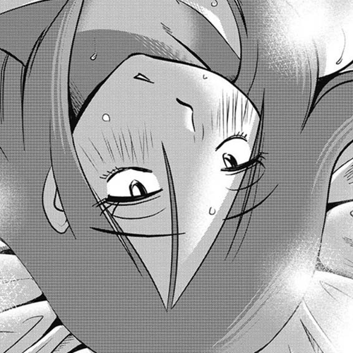 Shiori's Diary Chapter 3: Risk cover