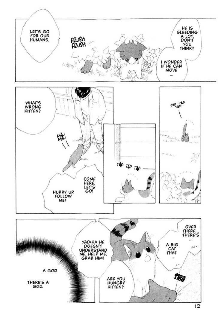 Shippo no Kimochi Chapter 1 page 8 - Chapter 1