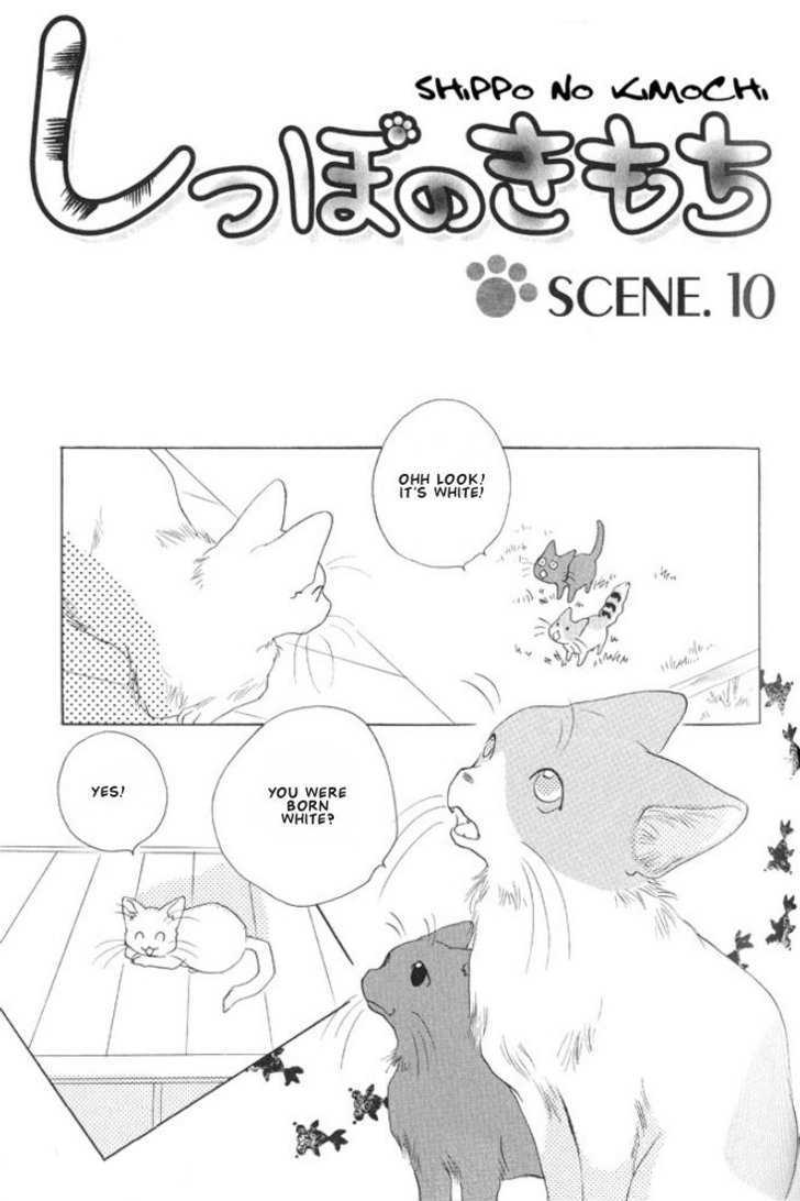 Shippo no Kimochi Chapter 10 page 1 - Chapter 10