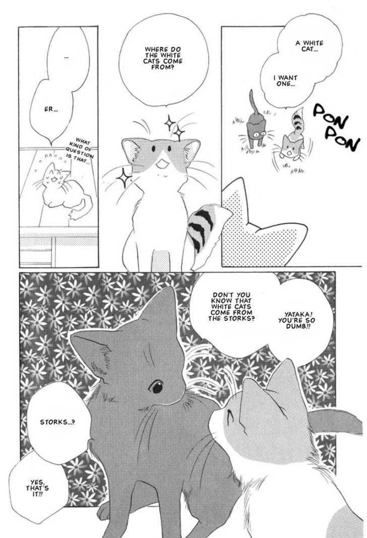 Shippo no Kimochi Chapter 10 page 2 - Chapter 10