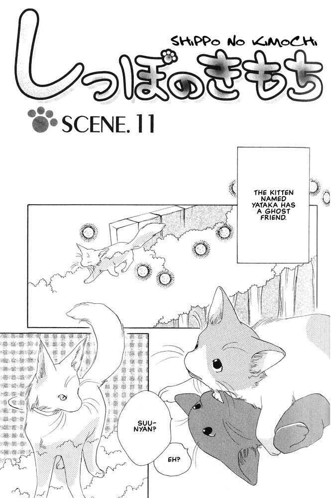 Shippo no Kimochi Chapter 11 page 2 - Chapter 11