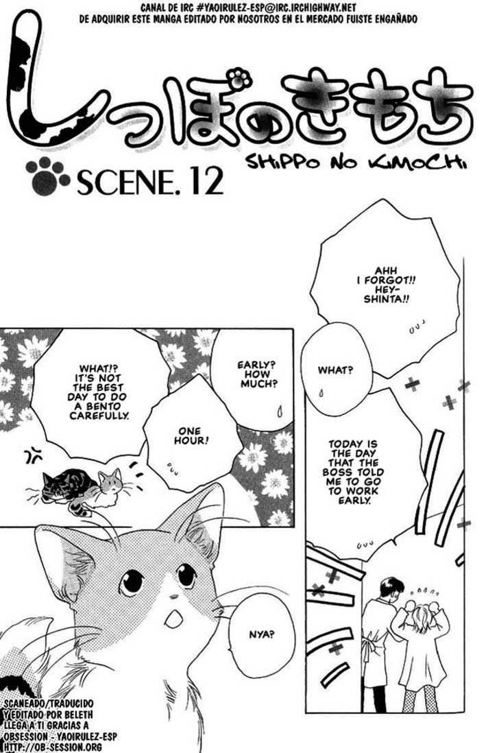 Shippo no Kimochi Chapter 12 page 2 - Chapter 12