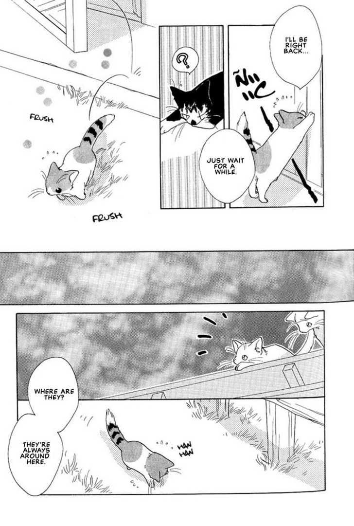 Shippo no Kimochi Chapter 2 page 4 - Chapter 2