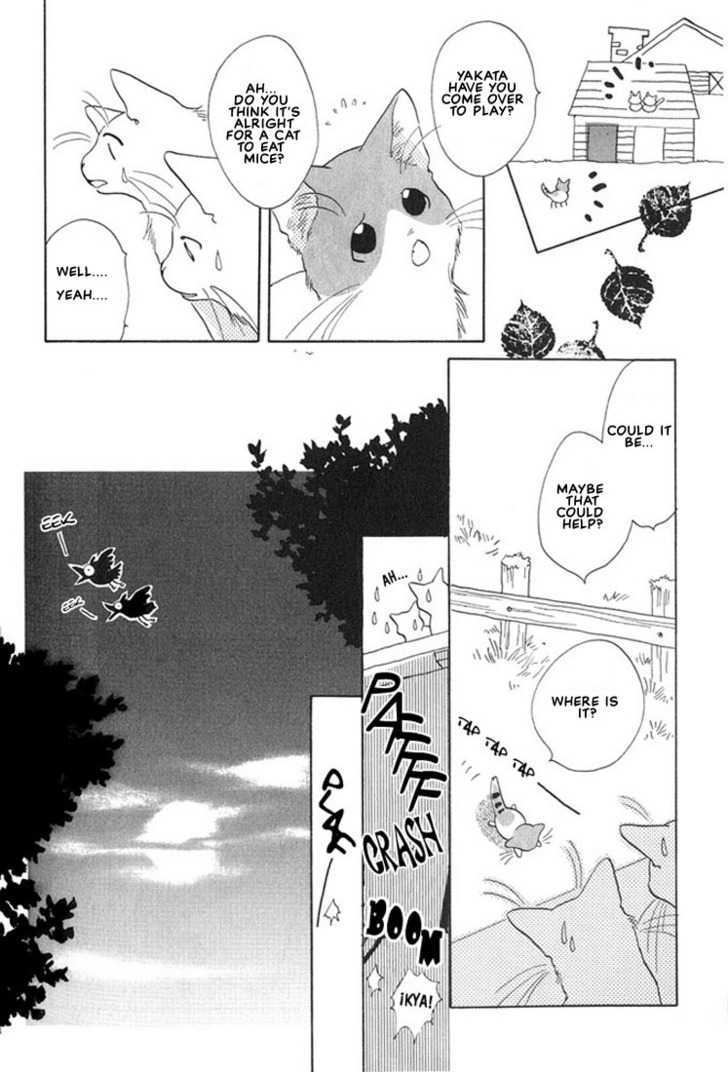 Shippo no Kimochi Chapter 2 page 5 - Chapter 2