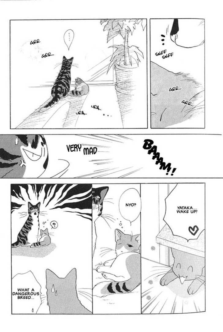 Shippo no Kimochi Chapter 3 page 4 - Chapter 3