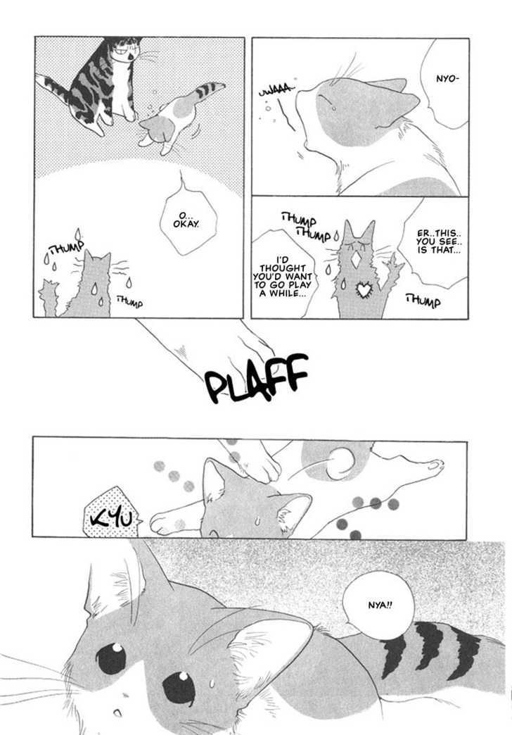 Shippo no Kimochi Chapter 3 page 5 - Chapter 3