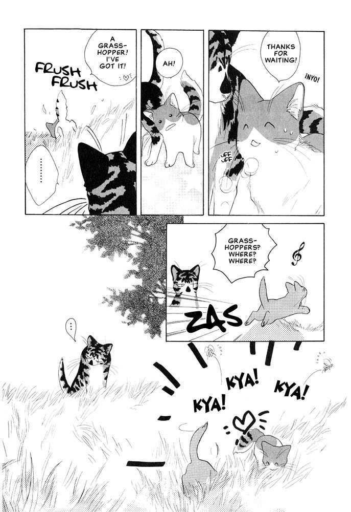 Shippo no Kimochi Chapter 4 page 5 - Chapter 4