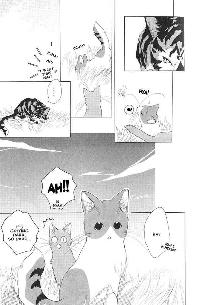 Shippo no Kimochi Chapter 4 page 6 - Chapter 4