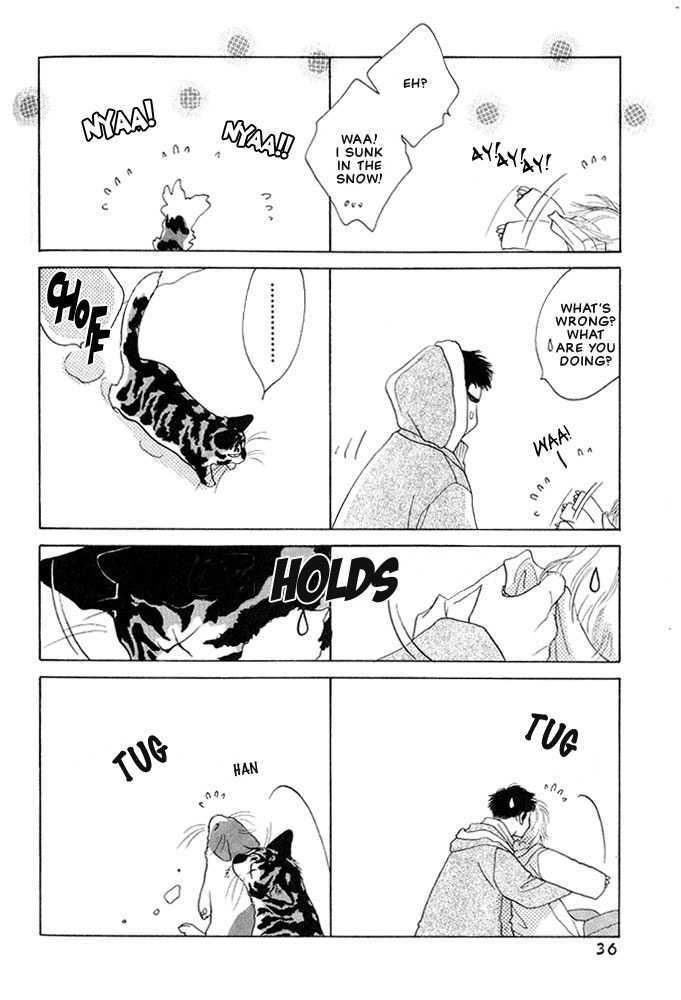 Shippo no Kimochi Chapter 5 page 5 - Chapter 5