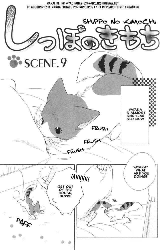 Shippo no Kimochi Chapter 9 page 1 - Chapter 9