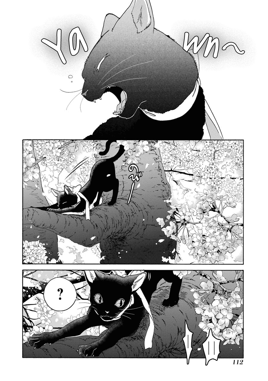 Shiraishi-kun's Classmates Chapter 5 page 2 - Chapter 5: Smile (Second Part)